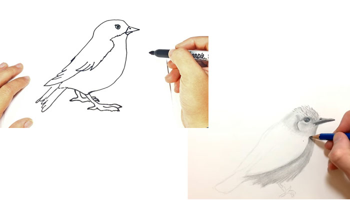 dibujar animales