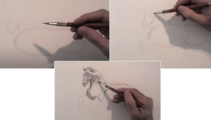 dibujar animales
